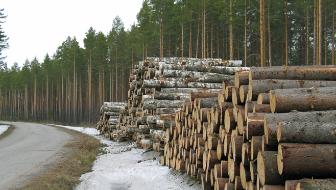 Metsien kestävä käyttö on suomalaista huippuosaamista