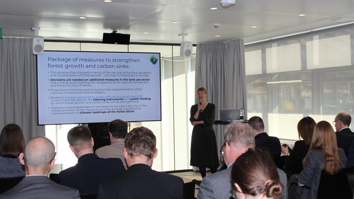 Anna Salminen pitämässä esitystä metsien kasvupaketista. Kuva otettu yleisön takaa