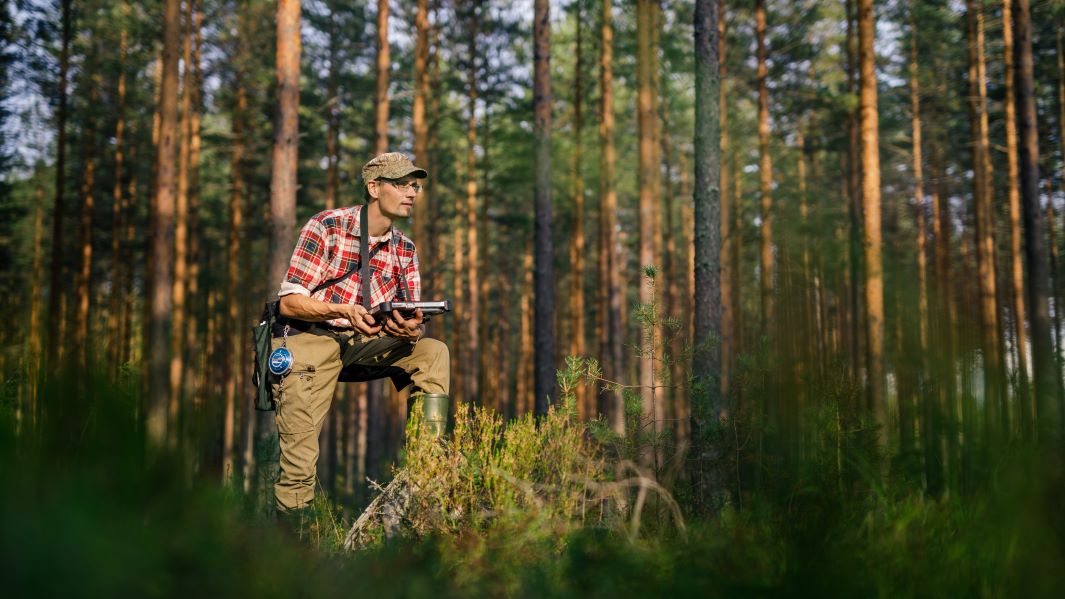 Mies pädin kanssa tekemässä paikkatietoanalyysiä metsässä