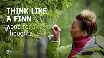 Wood for Thoughts – Wellbeing and Innovations from Sustainable Forest-based Bioeconomy