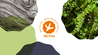 METSO-ohjelman logo