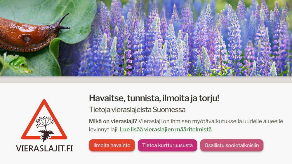 Skärmbild: vieraslajit.fi