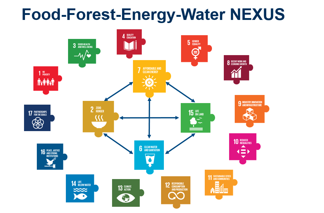 Food-Forest-Energy-Water NEXUS.
