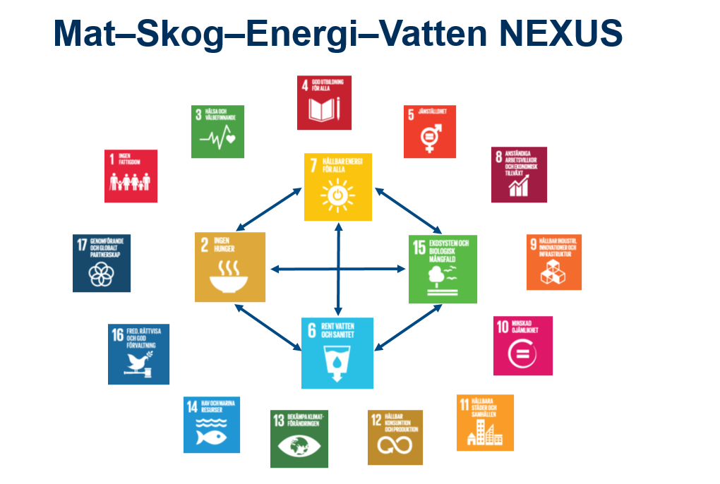 Mat-Skog-Energi-Vatten NEXUS.