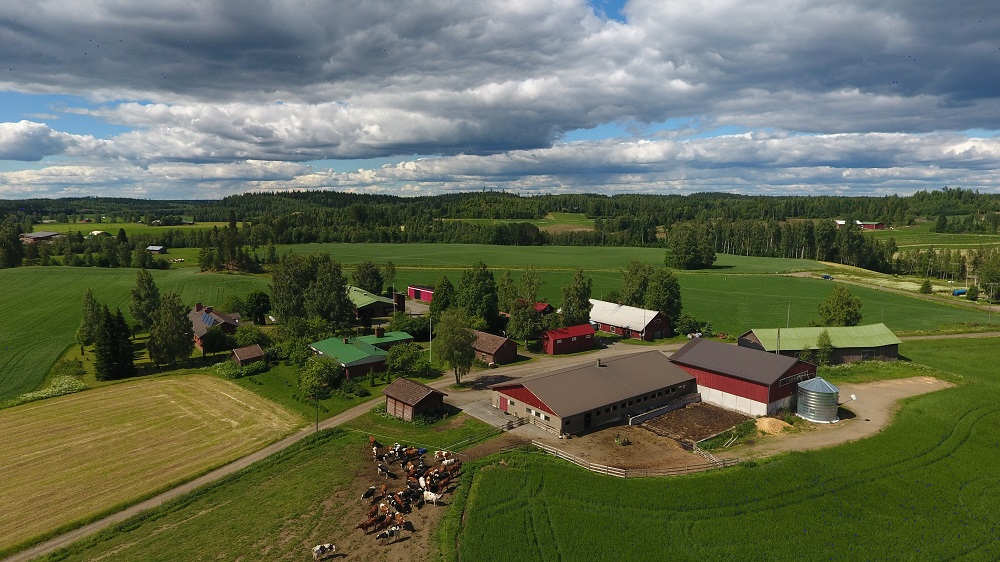 Hallitus Vahvisti Vuoden 2023 Keskeiset Kansalliset Maataloustuet - Maa ...