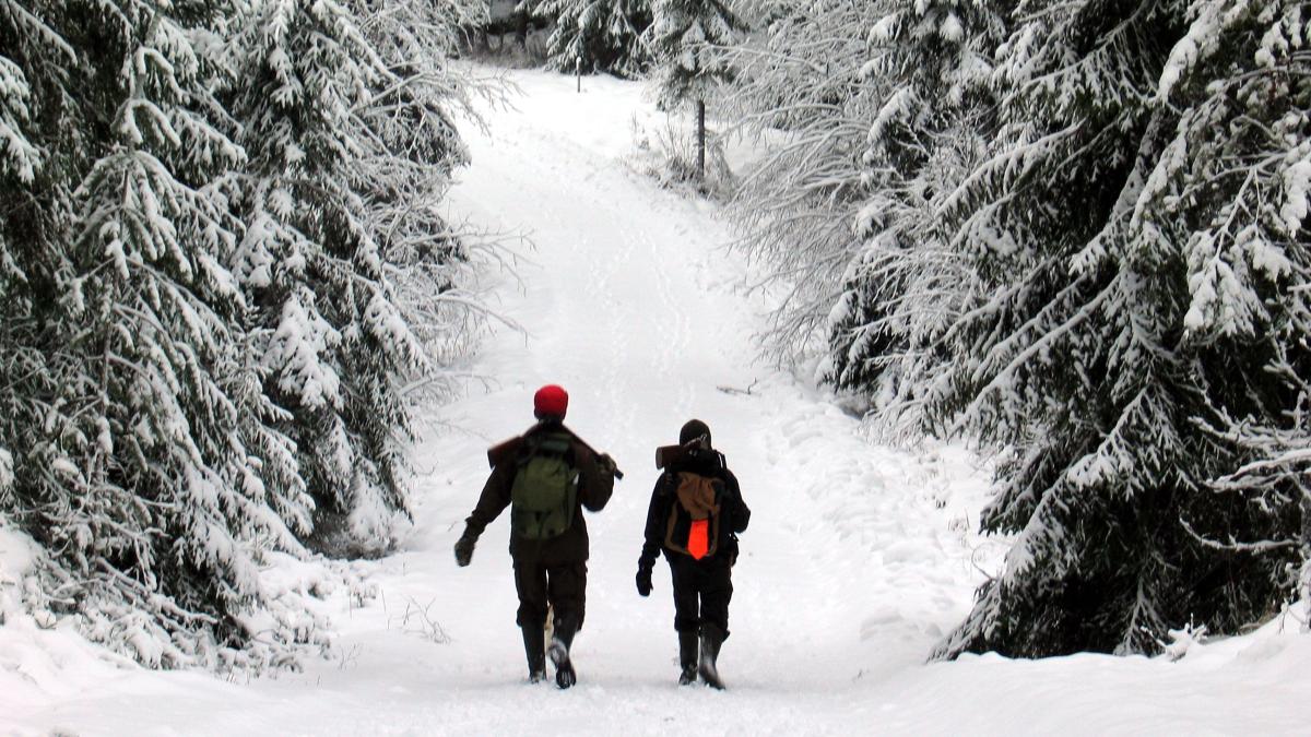 Metsästäjät kävelevät talvimaisemassa.
