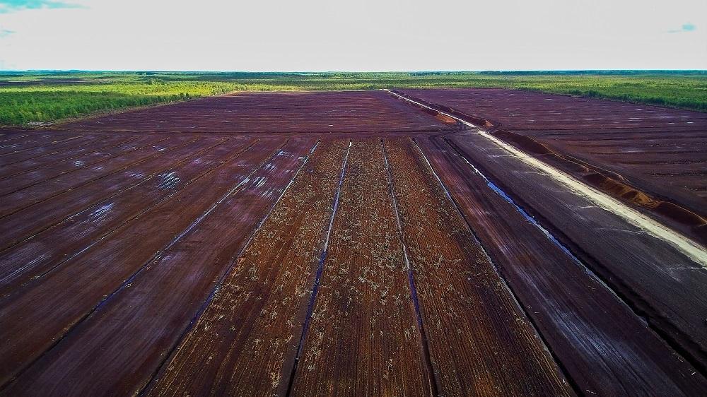 Turvetuotantoalueiden jatkokäyttö -hankkeiden tilannekatsaus- ja verkostoitumistilaisuus