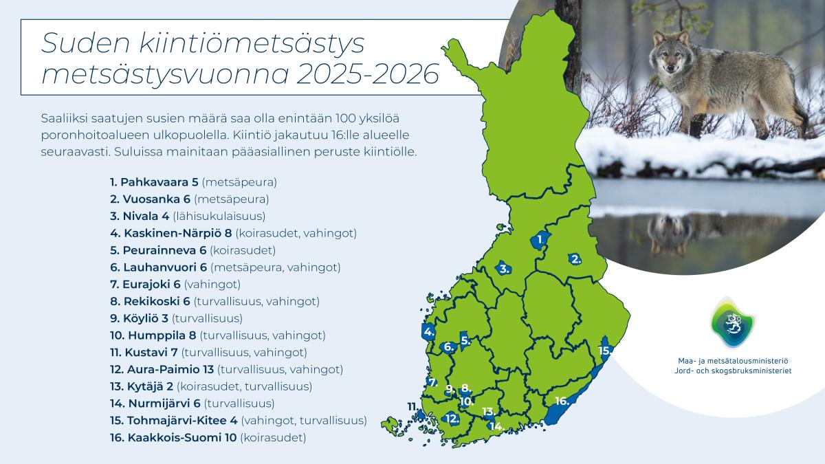 Karttakuva. Suden kiintiömetsästys metsästysvuonna 2025-2026. Kiintiömetsästyksen alueet sijoitettuna Suomen kartalle. Listalla alueiden kiintiöt. Suden kuva.