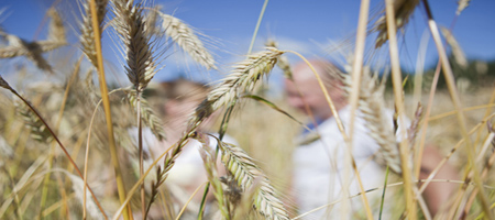 Älymaatalous kiinnostaa - keskustelusarja kokosi yli 500 kuulijaa