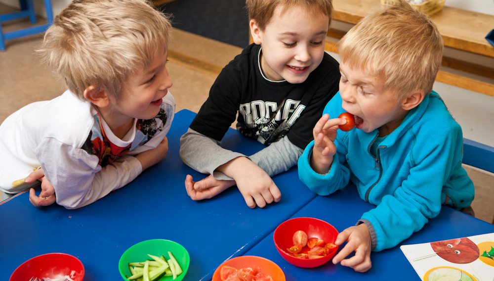 iso kalu anaali möllöttää