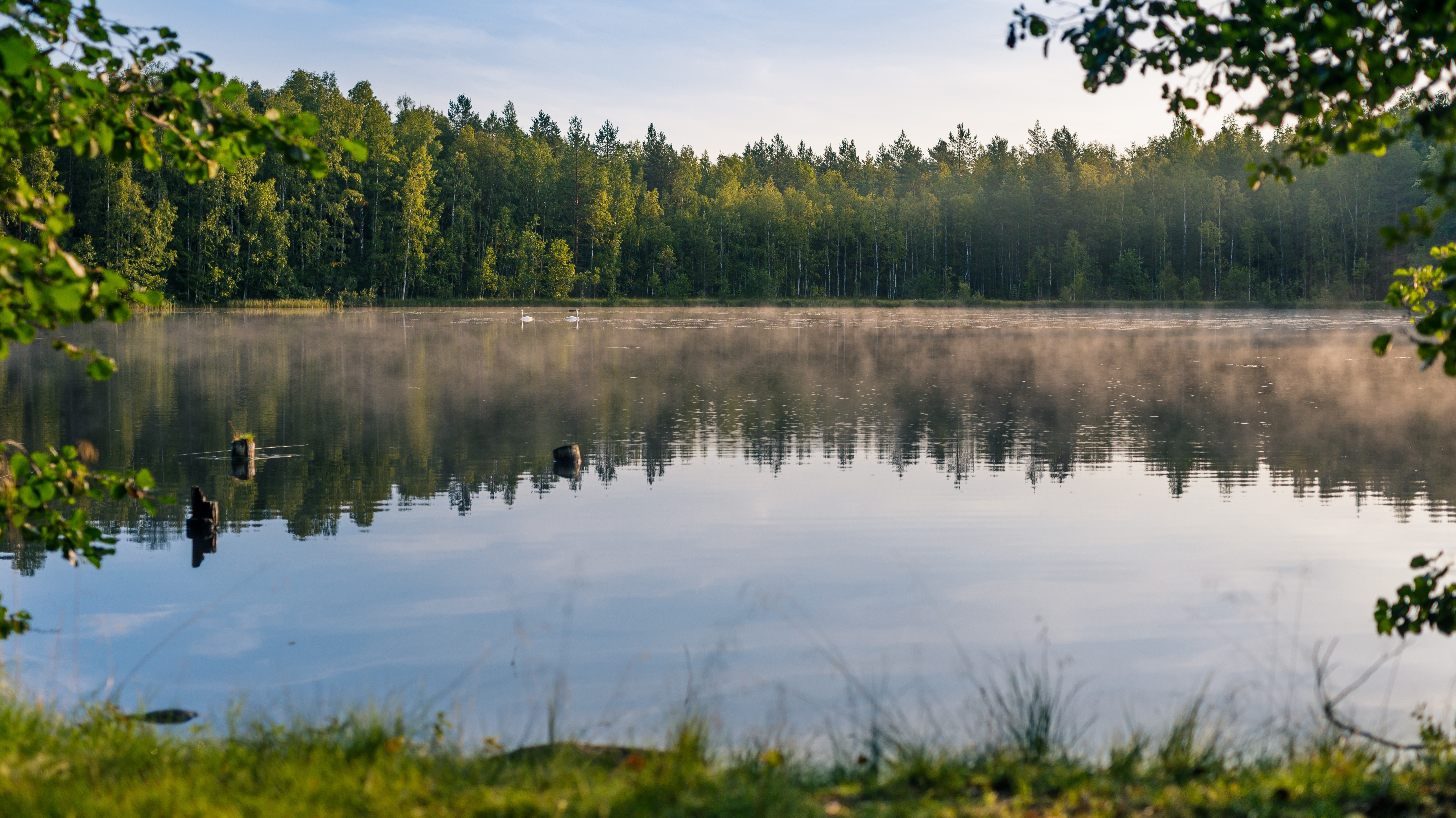 Etelä-Savon alueellisessa biotalousfoorumissa puhuttivat metsä, vesi ja  ruoka - Maa- ja metsätalousministeriö