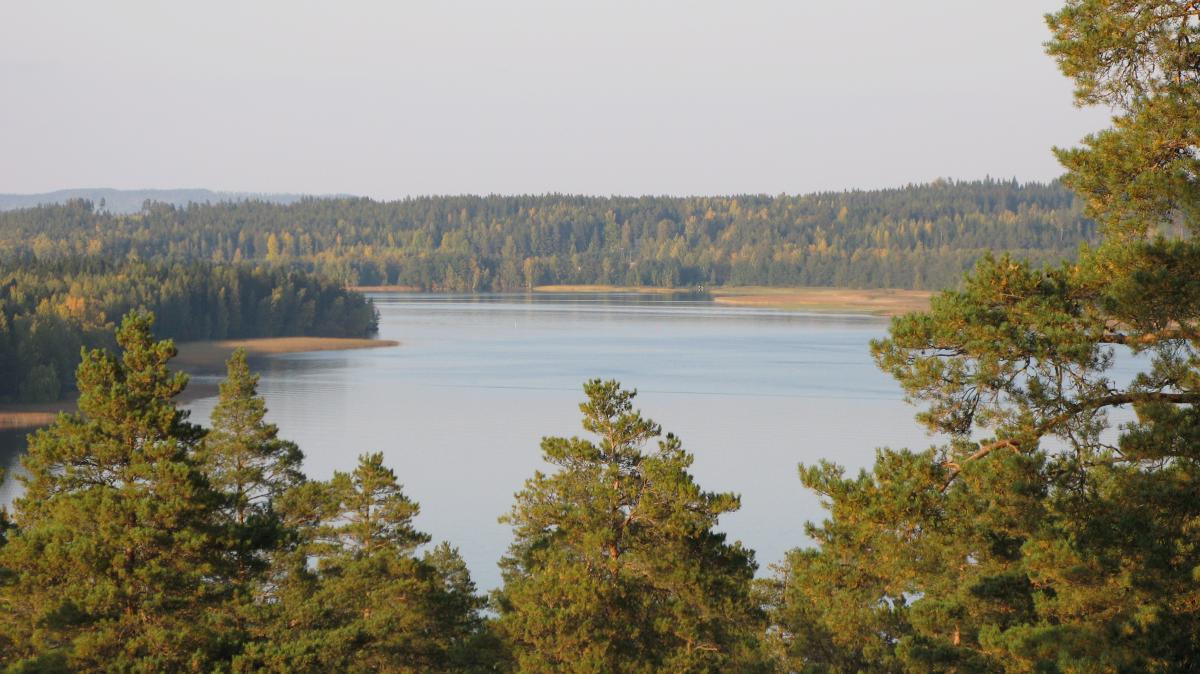 Järvimaisema.