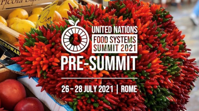 YK:n ruokajärjestelmähuippukokouksen valmistelukokouksen tunnuskuva (Rooma 26.-28.7.2021)