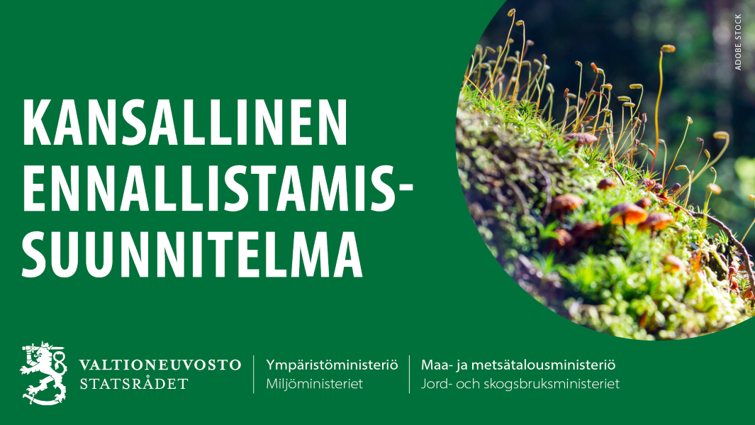 Vihreä tausta, kuva luonnosta, isolla tekstillä kansallinen ennallistamissuunnitelma