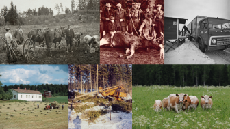 Maa- ja metsätalousministeriö 160 vuotta -videon esittelykuva.