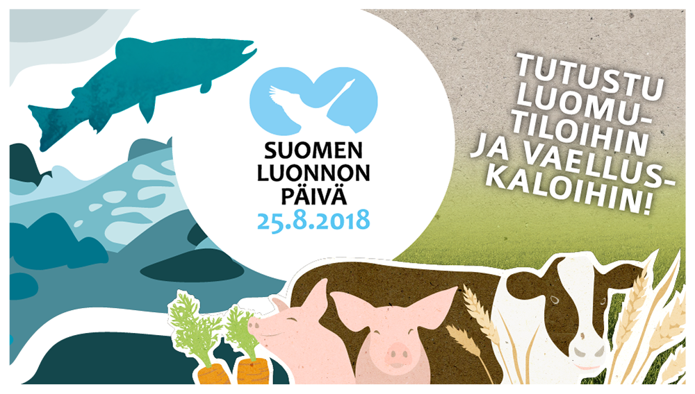 Suomen luonnon päivä luomutiloilla ja vaelluskalakohteissa