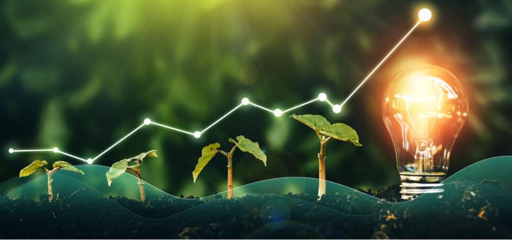 Kestävän kasvun avaimet biotaloudesta