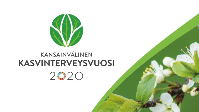 Kavinterveysvuosi2020-banneri.