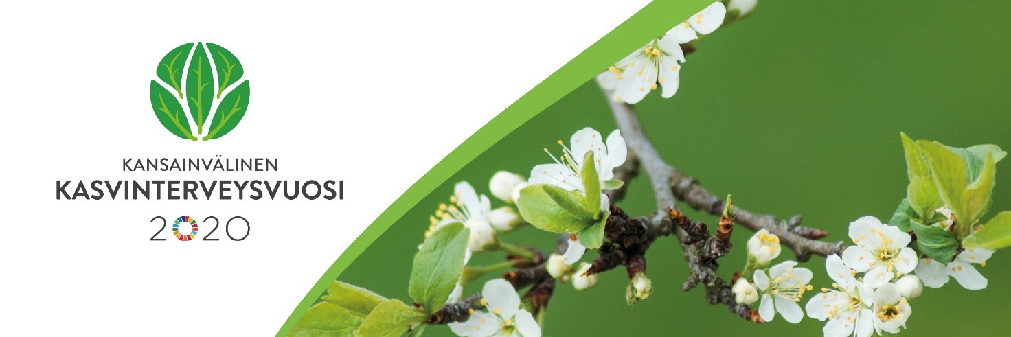 Kansainvälinen kasvinterveysvuosi 2020