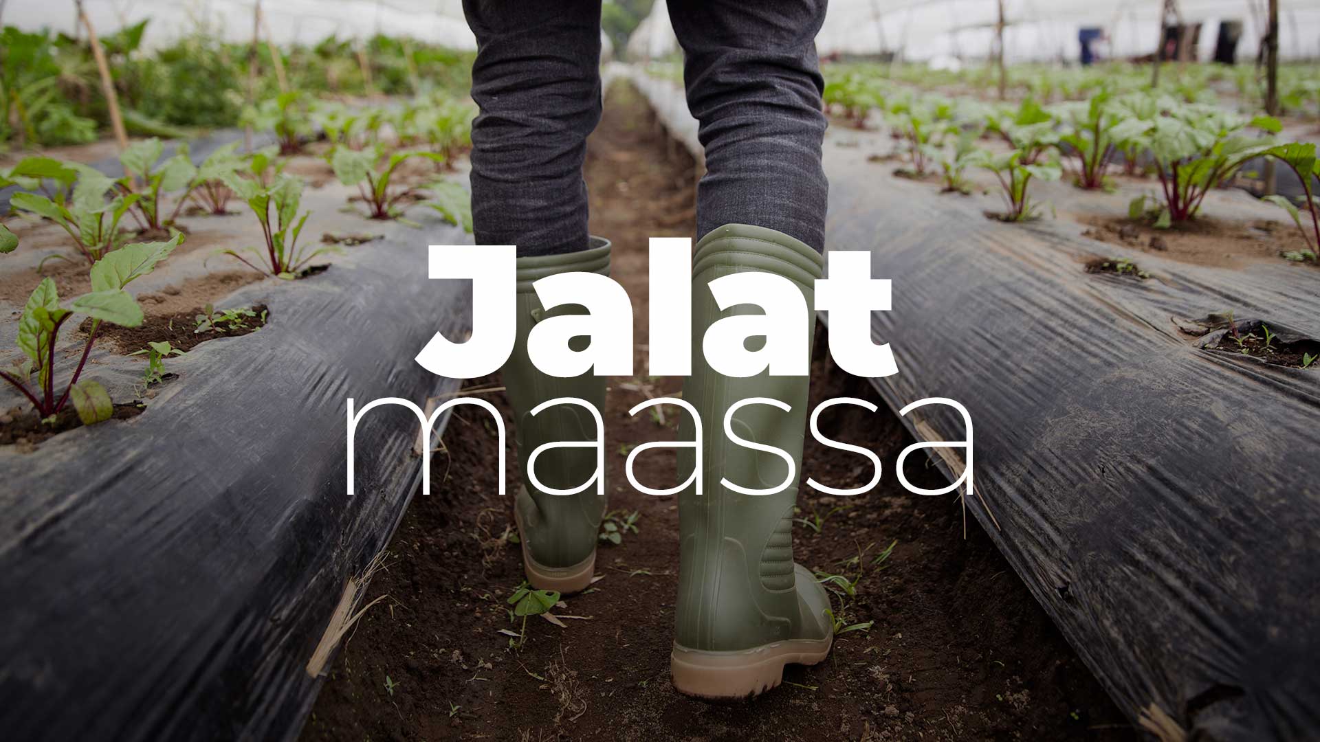 Jalat maassa - podcast - kuvituskuva.