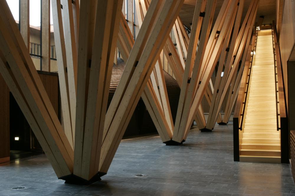 Nyt on puun aika – kutsuvierastilaisuus metsäbiotalouden kasvun vauhdittamiseksi