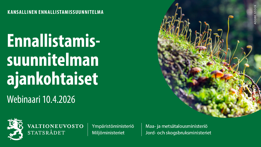 Ennallistamissuunnitelman kaikille avoin webinaari