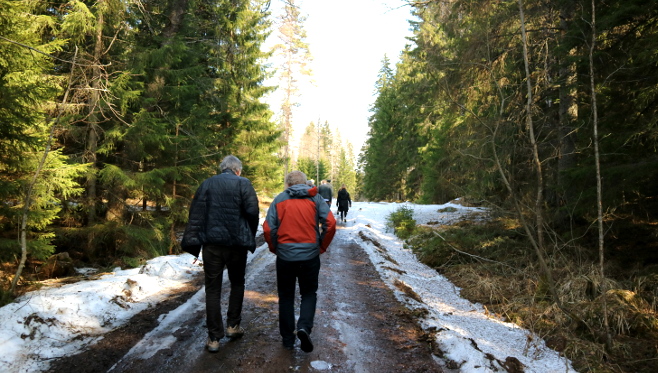 Konferenssi huipentui ekskursioihin, joista toinen suuntasi VTT:n Bioruukkiin Espooseen ja toinen Tornatorin metsäalueille Hyvinkäälle. Metsässä osallistujat oppivat uutta ja nauttivat aurinkoisesta kevätsäästä. Kuvan otti Vilma Häkkinen.