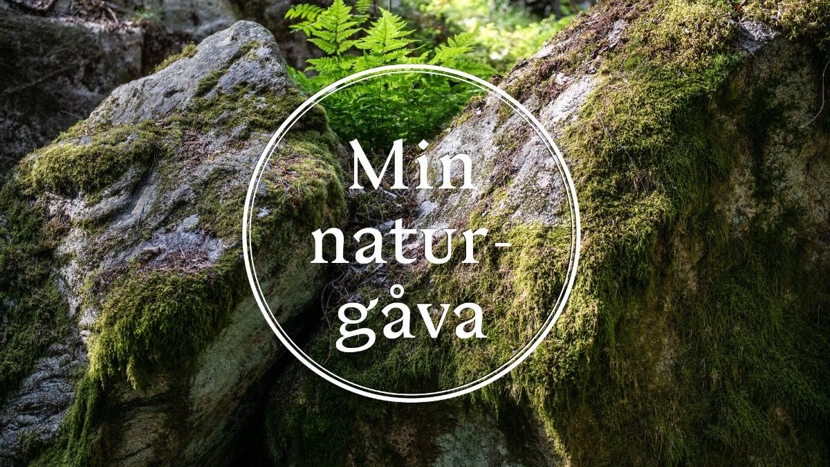 Min naturgåva