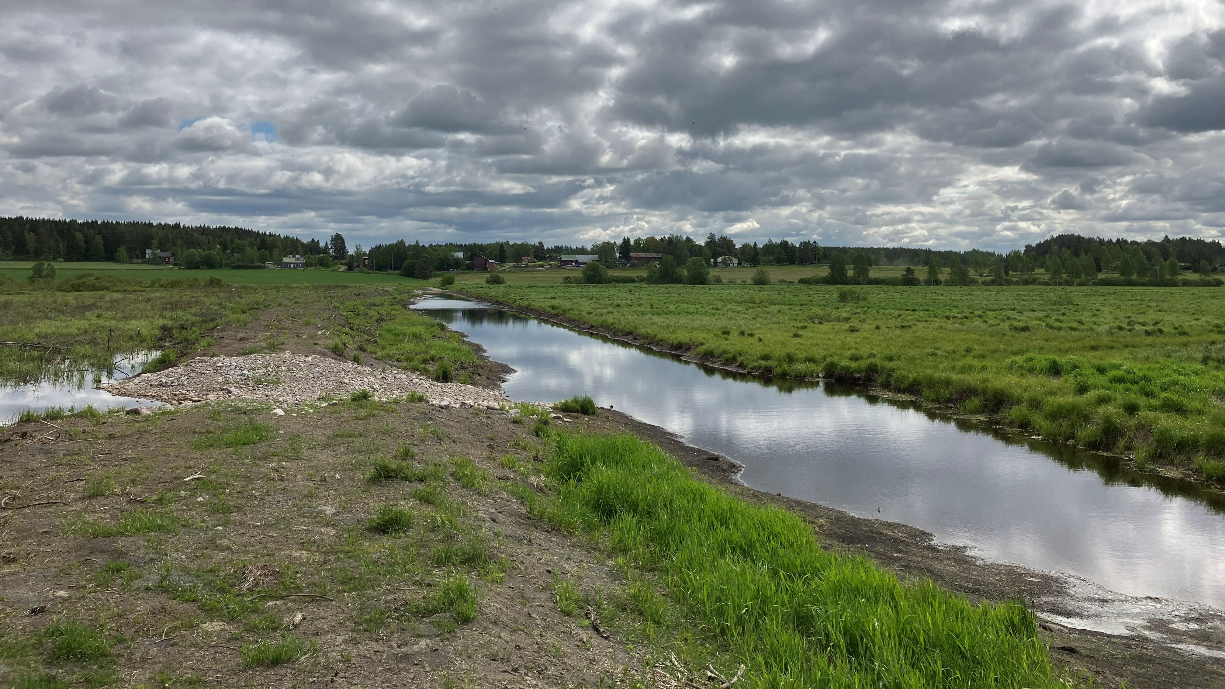 Ylivirtausuoma. Kuva: Laura Ticklén